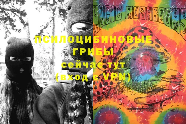 сатива Дмитровск