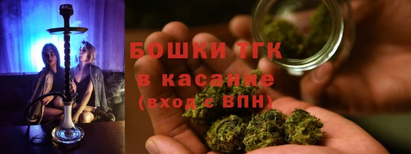 мяу мяу мука Ельня