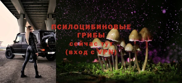 mdma Дмитриев
