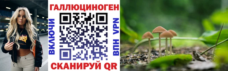 Галлюциногенные грибы Psilocybine cubensis  Жердевка 